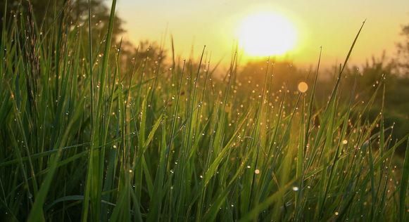 ������ � ������. ������ ������������� � ������� ����� ������� �������� ���� ����