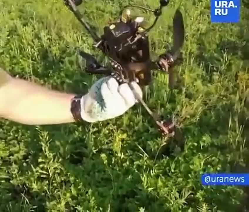 �������������� ���� ���� ������� � ����������