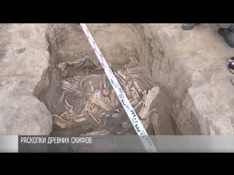 ������ �� ������. � ���� ����� ��������� ����� ����������� ������� ����������. � ������ ���������� ������� ���� ������� � ����������� �����