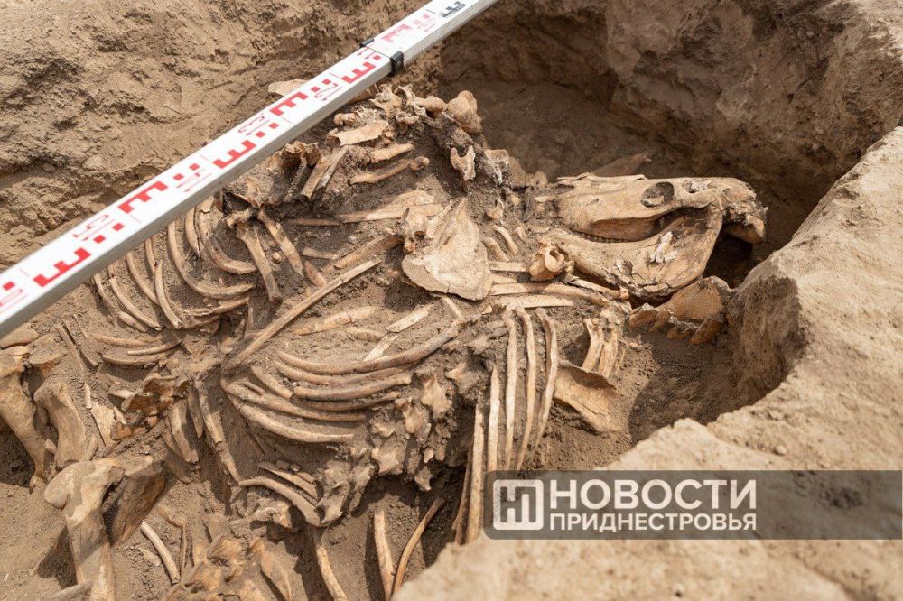 ��� �������� � ������������