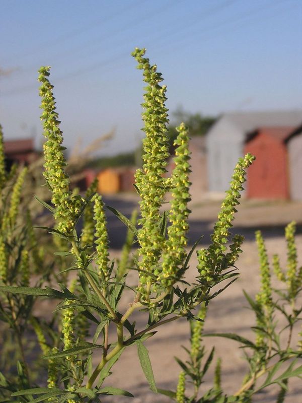 �� ����� �������� ���������� � ��������� ���������� 11 ����������