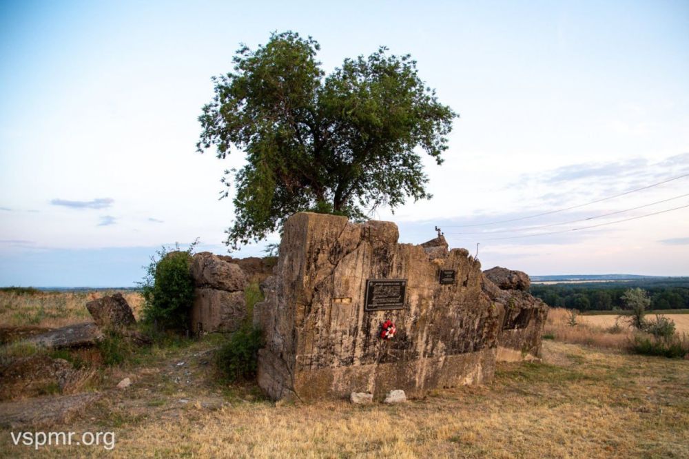 ���� ������� � ������� ���� � �����������