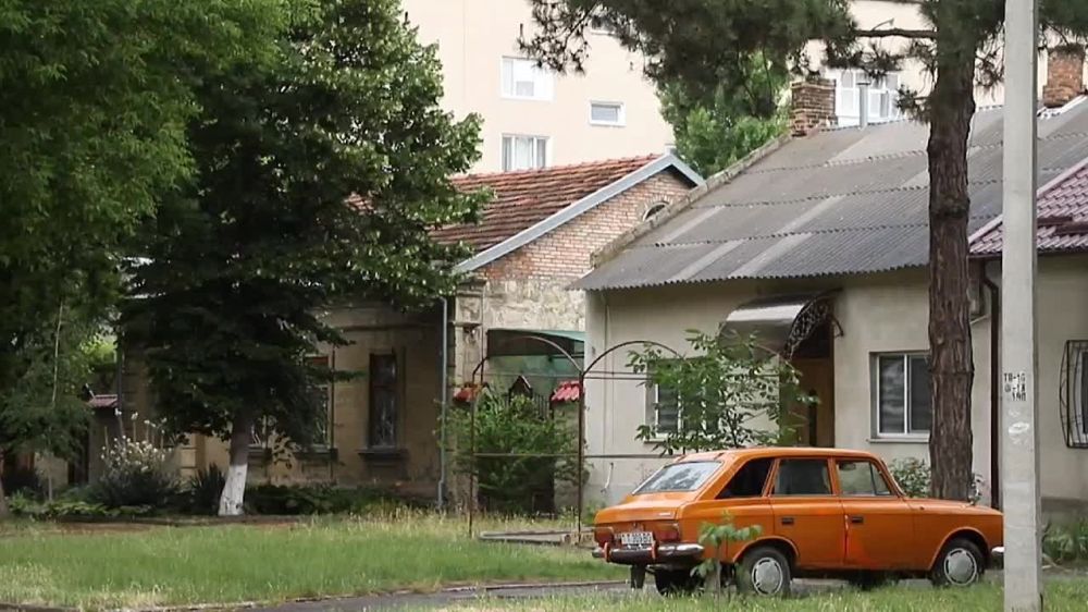 ������ ���������. ��� ���. ��������� ��������