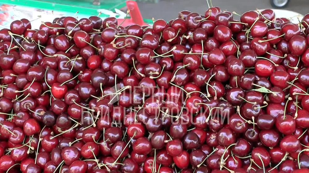 ��������� ���� �� ������ �����: