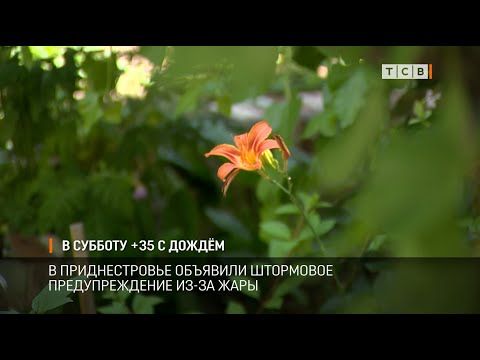 � ������� +35 � �����