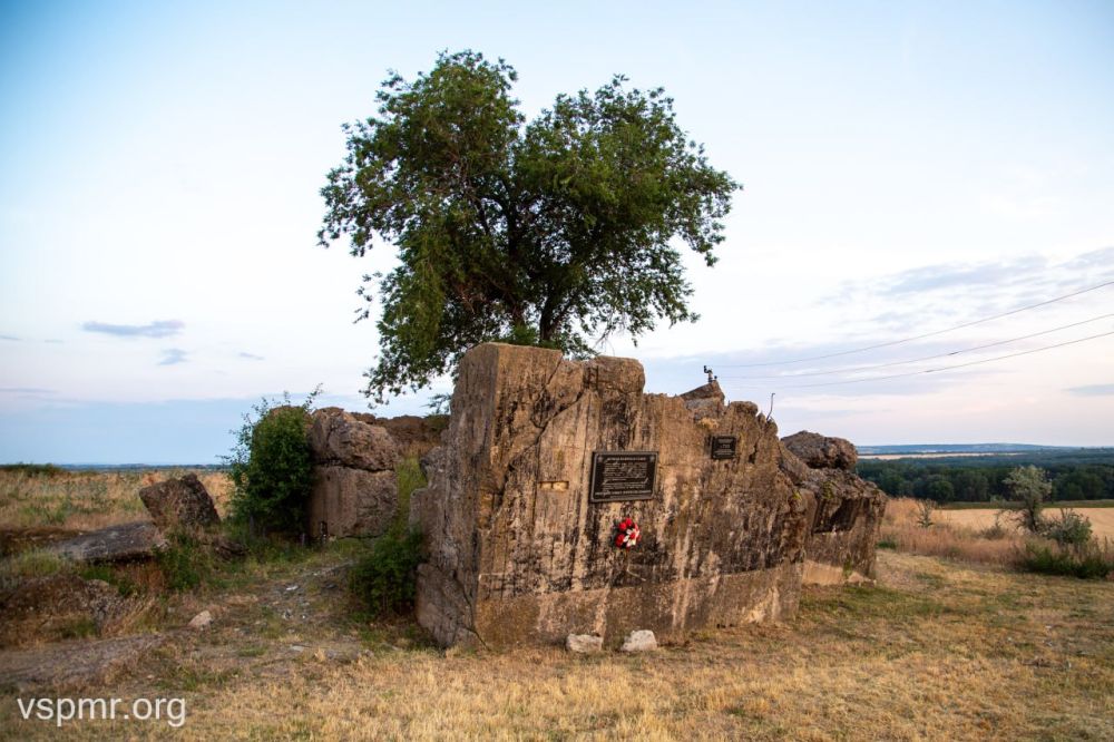 ���� ������� � ���� ������� ����