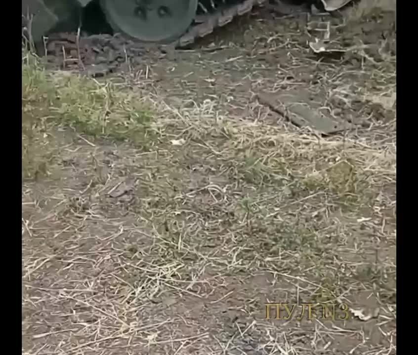 ��������� � ��� ��� �����: ������� ������ ���� ��� �� �����������