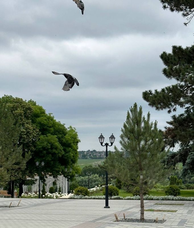 ���������� � ��������.. ���� �� �������