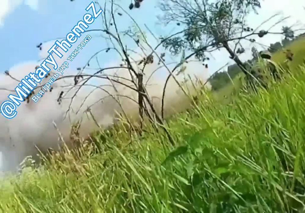 ����� ��������� ���. ���������� ������������ ��������� ���������� �������� ���������