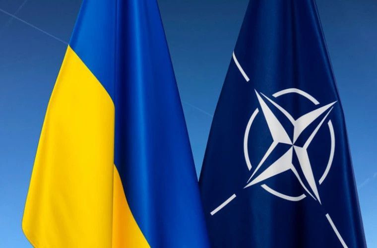 �������� ��� ���������� ���������� ���������� ������� ������������ �������� ������ ������ ������� � ��������� �� ����