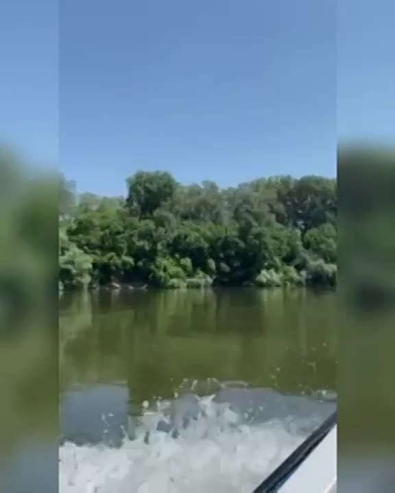 � ��������� ��������� �� �������� ������ ���������, ��� ������� ����