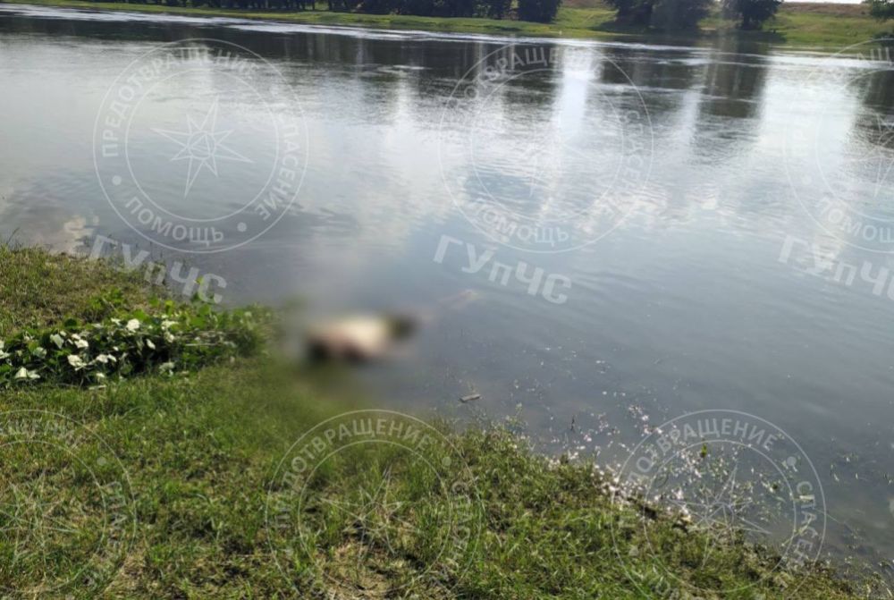 47-������ ������� ������ � �������