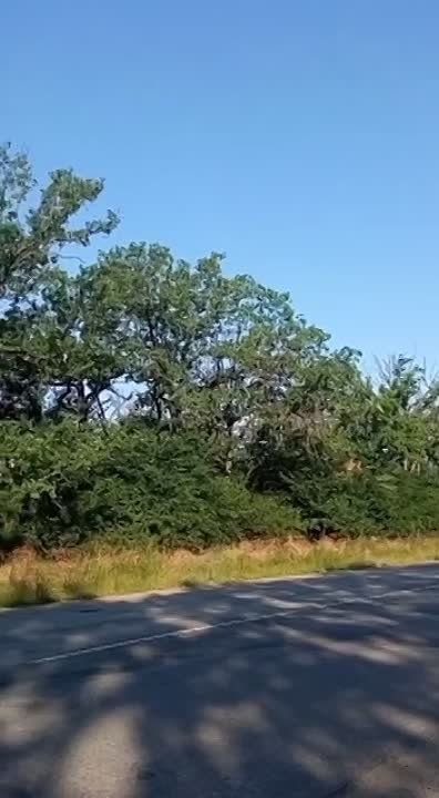 ����� ����� �����. ����� ������� ����������, �������� �� ������