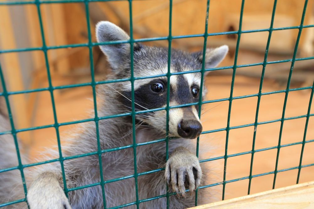 �� ������ ���������� ���������. � ������ ������ ���������. �� ����� ������� ������� � �������� ��� �����. �������� � ��� �������, ��� �������������� ����� ��� ���������. ����� �� �� ��������� ������ � ���������, ������� �������� ���������?�