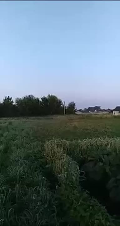 ���������� ����������� ������� �������, ��� � ������ ��������������������� �������� �� ���������� ����������� ������� ������������ ������ �� ���������� ����������� ����������-������ �����������