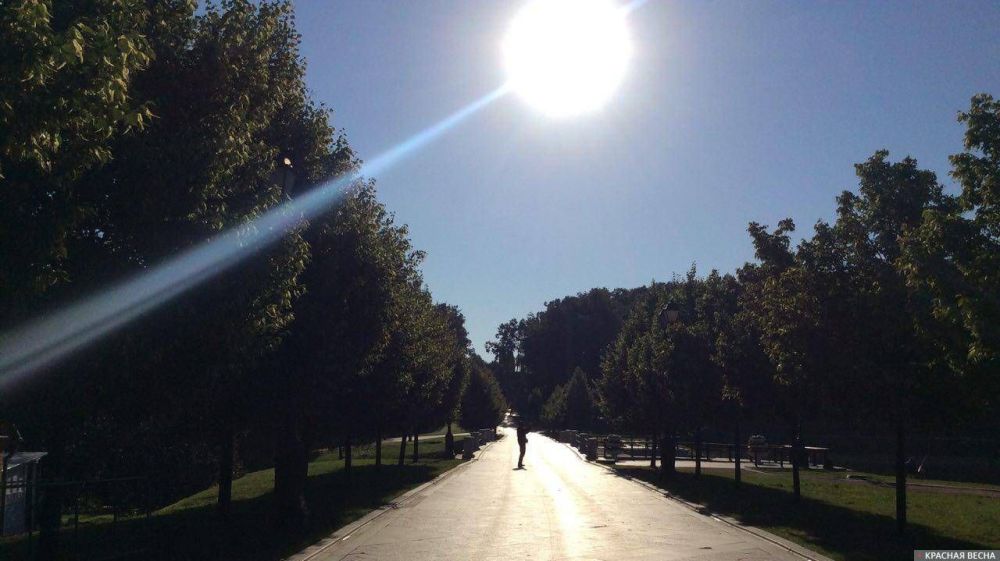 �������� ������� ���� ������������ �������