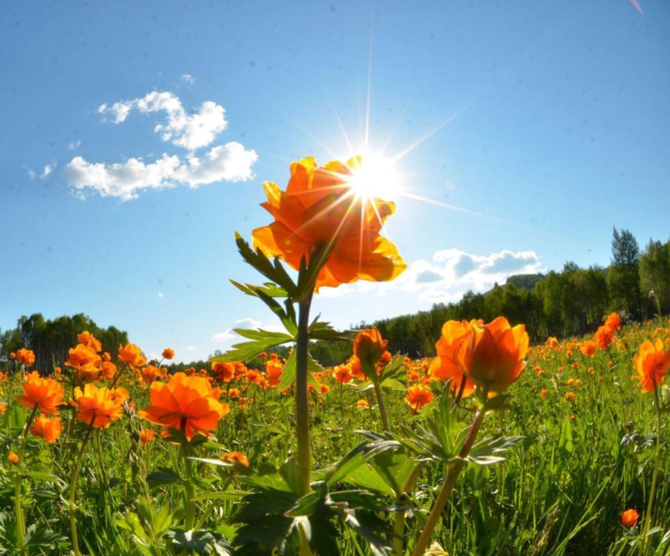 � ��� ������� ���������� �������� ��������� � ���� ������������ � ���������������