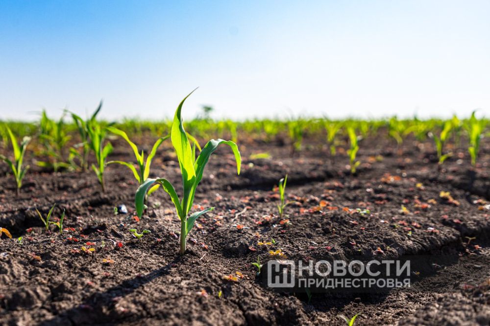 ��������� �������������� �������������� ��������� �� ��������� ��� ������ ���� ��� ��������, �� ������ �����������������...