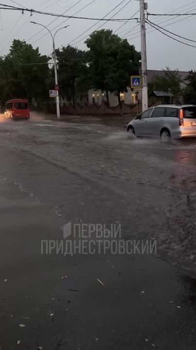 ���������. �����. ������ ������