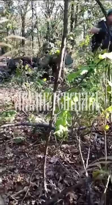 �� ����� ���������� ��� ���� ������� ����� � ���� ������ ������ 56-� ������������ ������� ���