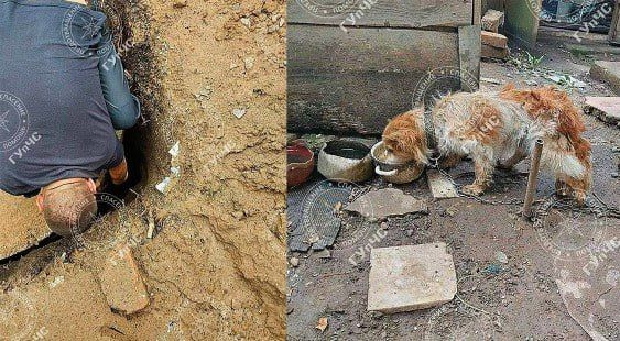 ������������ �������� ��� ������� �� ���������