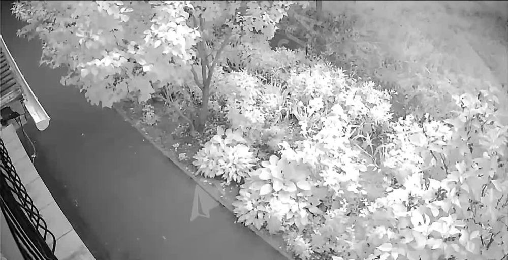 ����� �� ������ ��� ������ � ������ �������