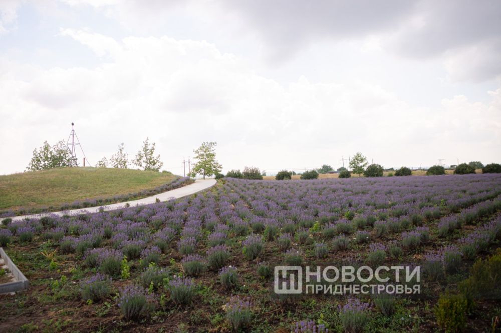 � ����������� ������ ���� ���������� ����