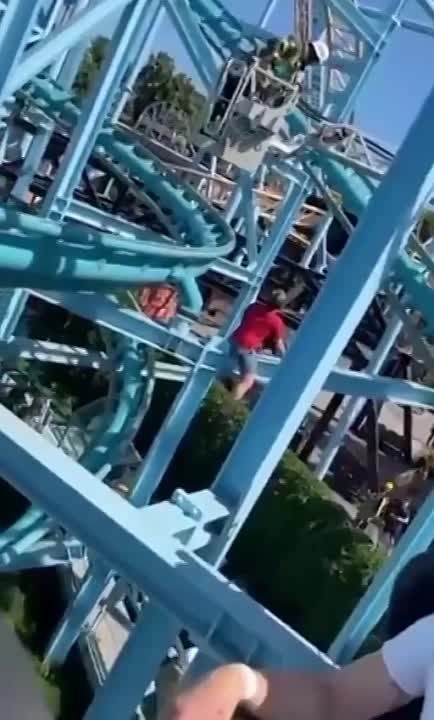 � ������ ���� ������ � ������������ �����