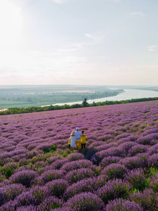 �� �������� ������������ �����������!