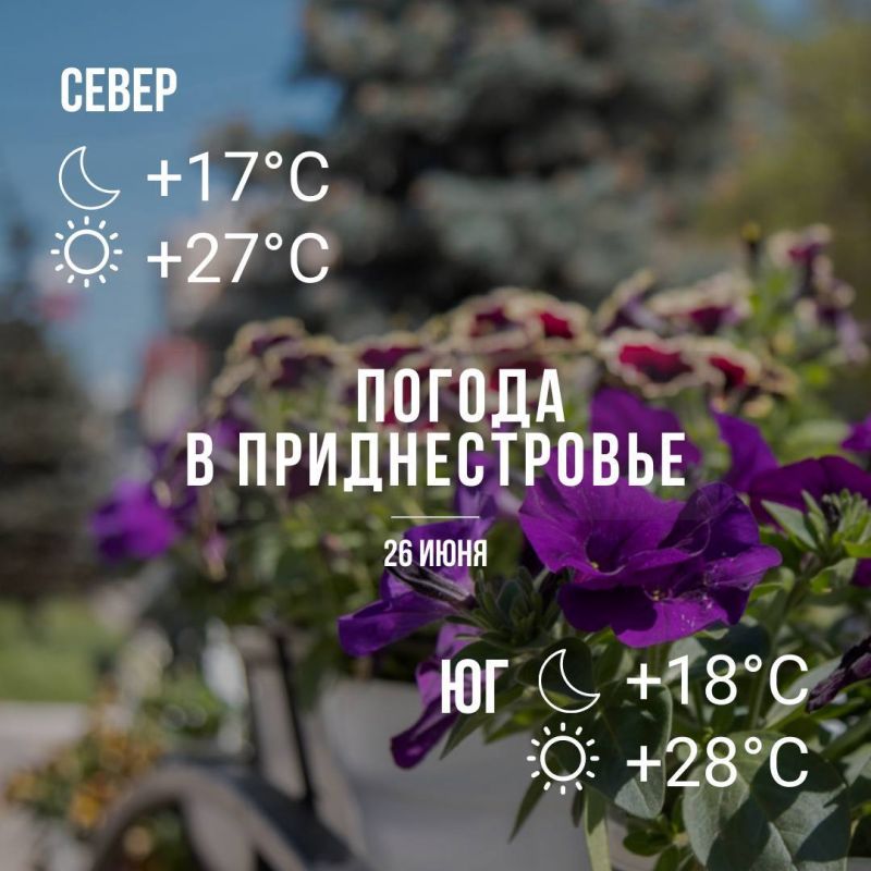 ������ �� �������. �� ��������� � �������� � ���������!