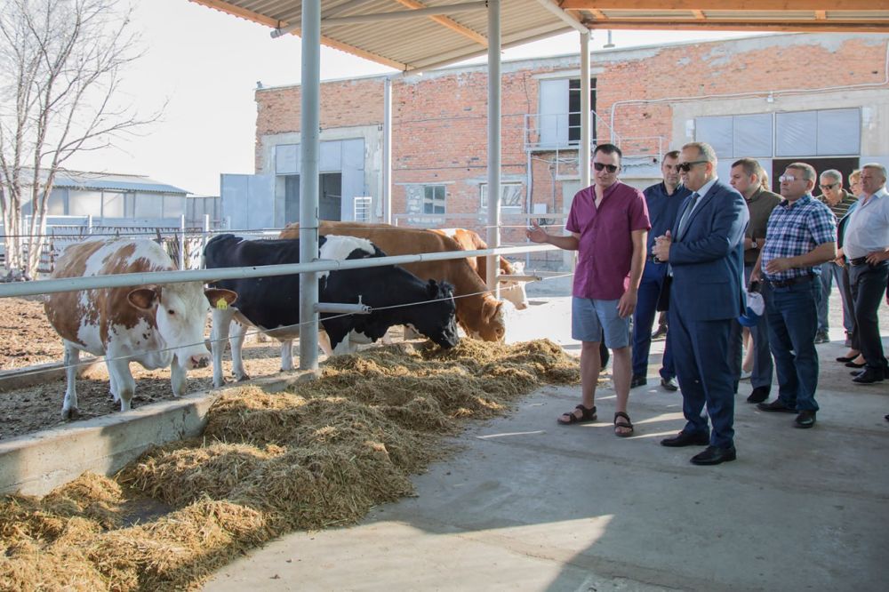 ����� ������������� � ����� ������� ������ ������� ������������������ ����������������� ������