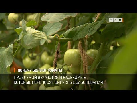 � ������ ����������� ����� ������� ������. ��� ����� �������� � ����� �� ��� ������ ������� ������? ������� ��������� �6 ����� ���� ���������� ���������� � ������� ��� ��������� ���������