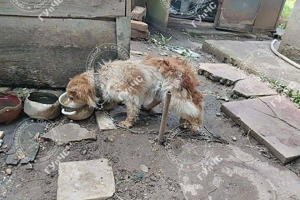 �������� ������ � ������������ �������