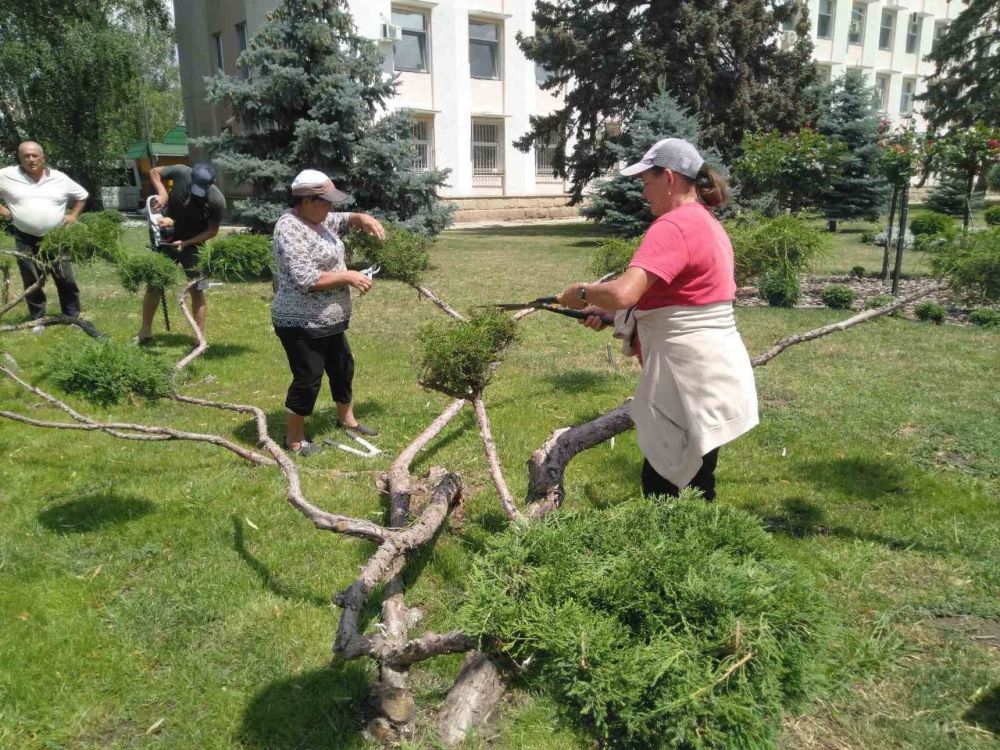 ����������� �������� � ������ ������