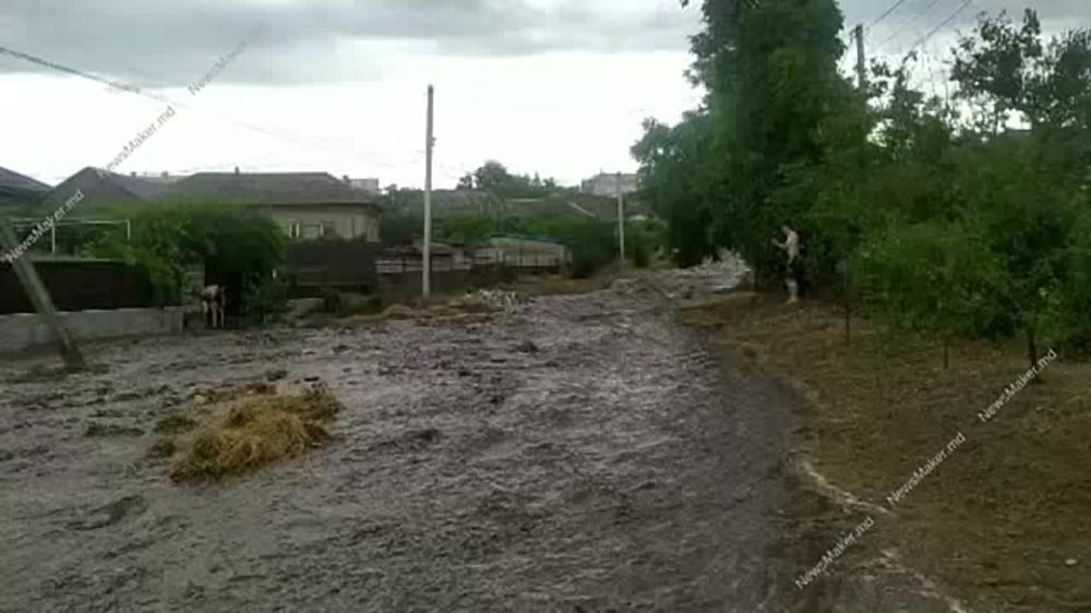 8 �������, �������, ������� � ������ ��������� � ���������� �����-����� ����� ���������� �����