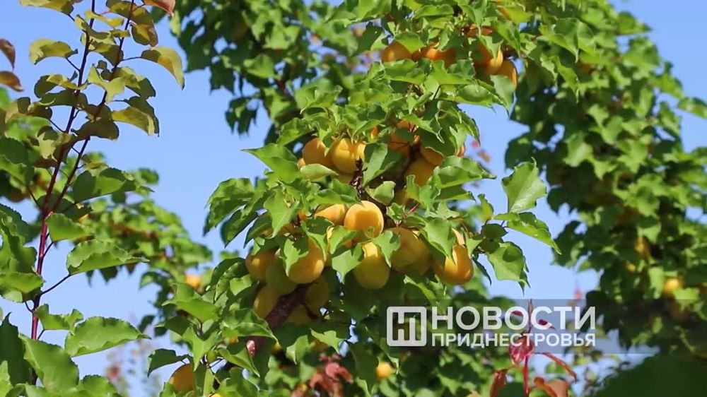 ������ ��������� �������� � ���������������� ������