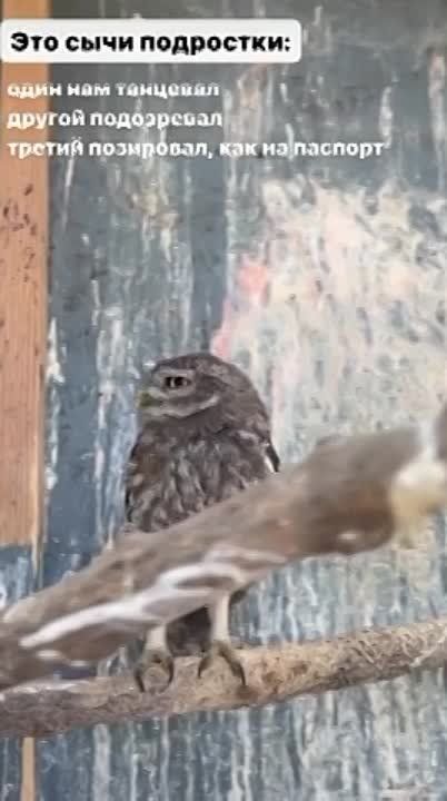 � ������ ������������ �������� �������� ��������� �������� ��� ���. � ���� ���� ���� ������ ����� ������� �����