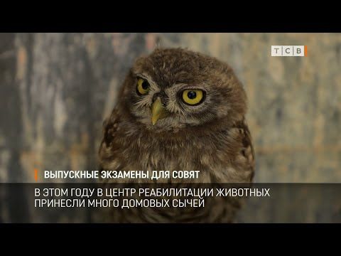 ����� ������� ����� � ���� ���� ��������� � ����� ������������ ��������. ����� ����� ������. ������� ����� ��� ��� ��� � ���...