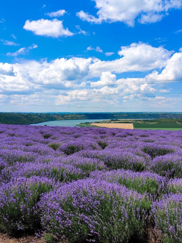 ���� ����� �������� �� ��� ����, ����� ������������� ������ �������