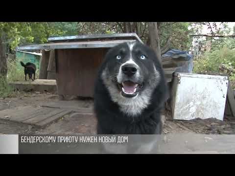 600 ����� � ����� �� ����������� ������ ���� �������� � ����� ���. � ��� �� ���. ���� � ��������. �� ����������, ��� ������...