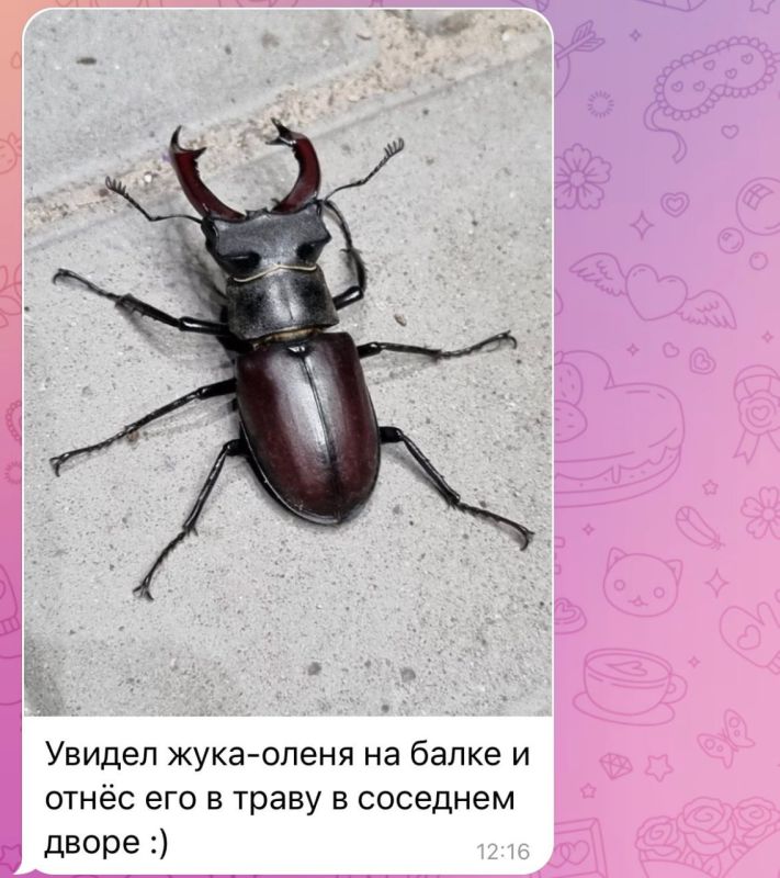 ��������� ����� ����-����� �� �����, ��������������� � ����� ������� � �������