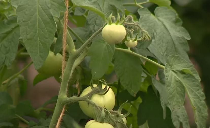 ������ ������ ������. � ������ ����������� ����� ������� ������. ��� ����� �������� � ����� �� ��� ������ ������� ������? ������� ��������� �6 ����� ���� ���������� ���������� � ������� ��� ��������� ���������