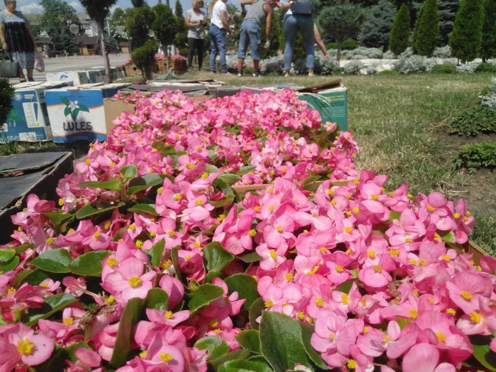 ������� ���������� ����������