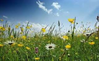 �������� CAPS LOCK � �����: ���� ���� ������� �������� �������� � ���� 28 ����