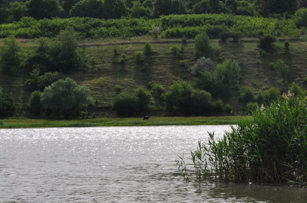 ��������������� ������� �� 28 ���� 2023 ����