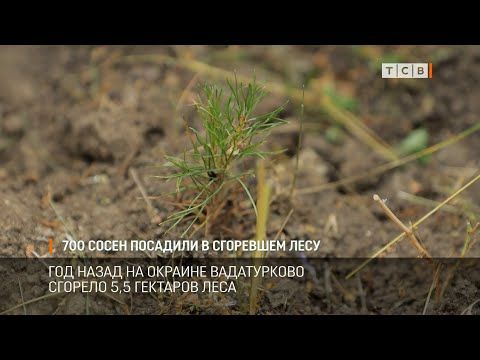 700 ������� ����� �������� �� ����� ������ ����������� ������ � �������������. ��� ����� �� ������� ���� ����������� ������� ���� � ��������� �������� ����. ����� ���������� 211 ��������