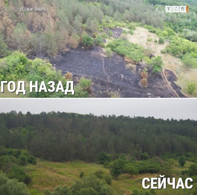 ��� ������ �������� ����� ������ ����������� ������� ������ �� ������� ��� � �������������