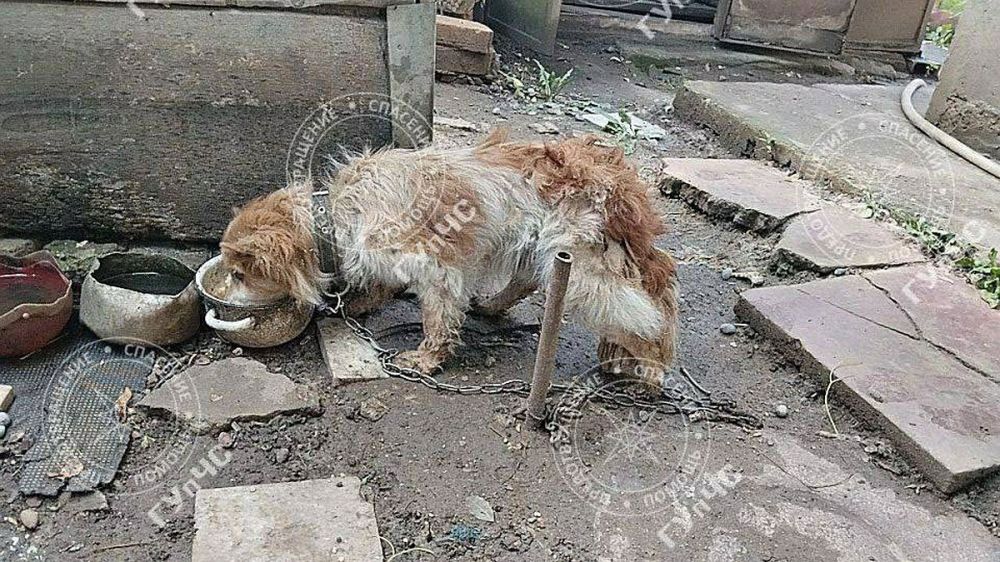 � ��������� �������� ��� ���������� � ��������������� �������: ��������� ������ �������� ����������