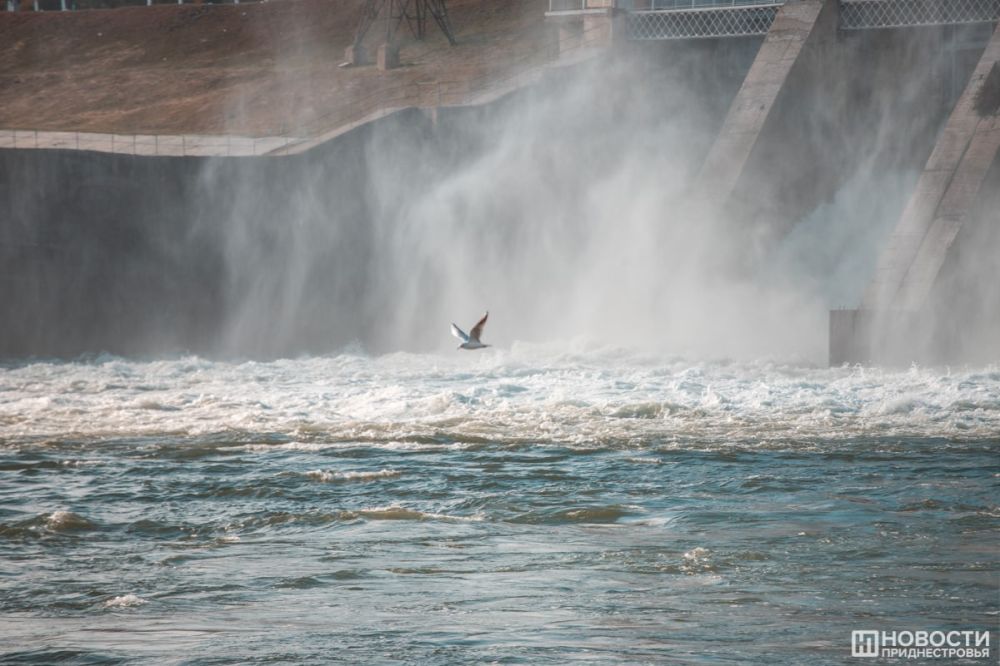 ������� ������� � ��������� ��� ���������