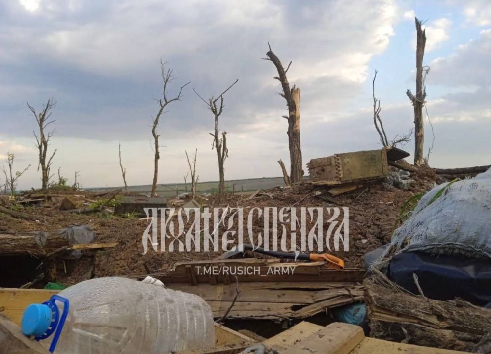 ����������� �����������:. �.�.���������